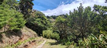 Venta de Quinta + Mini Apto en San Rafael de Heredia. en Concepción, San Rafael, Heredia — 350 000 000 ₡ - Foto 4 de 21
