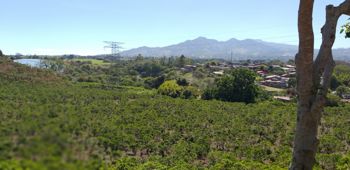 Lote en Venta, Uso Residencial, Clima de Montaña, 5PJG10035484