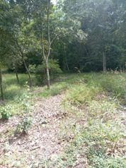 El encuentro con la naturaleza... El Rodeo. en Colón, Mora, San José — $184,000 - Foto 5 de 9