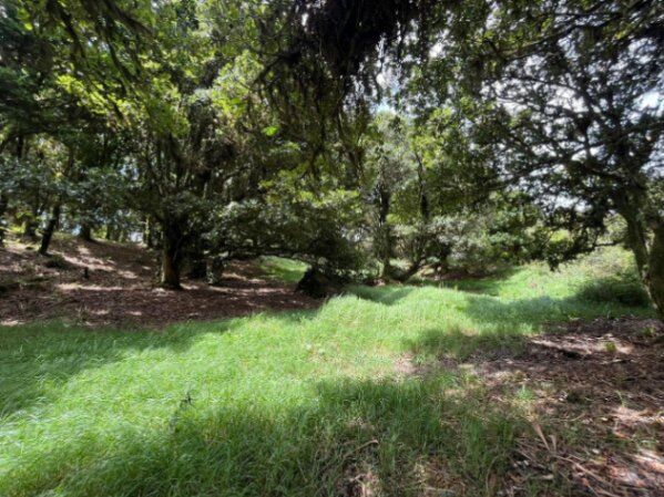 Venta de Lote en Dota, San José. RAH 25-1965 in Jardín, Dota, San José — ₡ 16 500 000