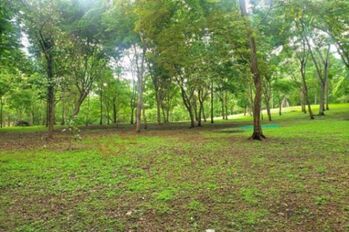 FInca de 4,5 ha en Garabito Puntarenas – naturaleza, producción y tranquilidad en un solo lugar in Tárcoles, Garabito, Puntarenas — $490,000 - Photo 5 of 5