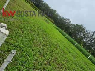 Lote en venta en Santa Clara, San Carlos | A 600 m del TEC en Florencia, San Carlos, Alajuela — 38 000 000 ₡ - Foto 5 de 6