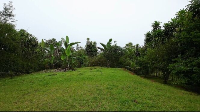 EN VENTA PROPIEDAD EN COSTA RICA CON VISTAS Y NACIENTE. in Barú, Pérez Zeledón, San José — $350,000