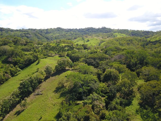 Hermosa finca en lugar súper tranquilo y a 45 minutos de la costa in Zapotal, Nandayure, Guanacaste — ₡ 135 360 000