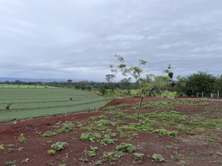Venta Terreno de Desarrollo, Alajuela, San Carlos, San Josecito - Foto 2 de 3