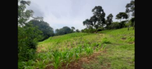 Lotes en Venta en Llano Grande de Mora, Puriscal in Picagres, Mora, San José — ₡ 60 000 000