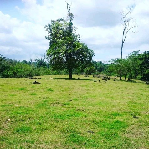 Excelente Finca a 5 minutos de Fortuna in La Fortuna, San Carlos, Alajuela — $3,000,000 - Photo 2 of 14