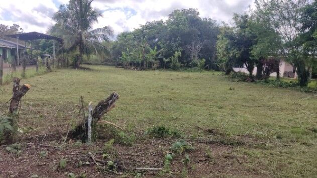 Lote en Venta - La Palma, Puerto Jiménez en Puerto Jiménez, Golfito, Puntarenas — ₡ 30 000 000