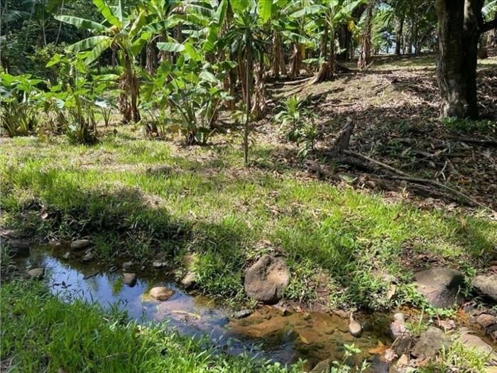 VENTA DE LOTE MIXTO Y ALTA DENSIDAD, ALAJUELA, OROTINA CENTRO en Coyolar, Orotina, Alajuela — ₡ 70 000 000