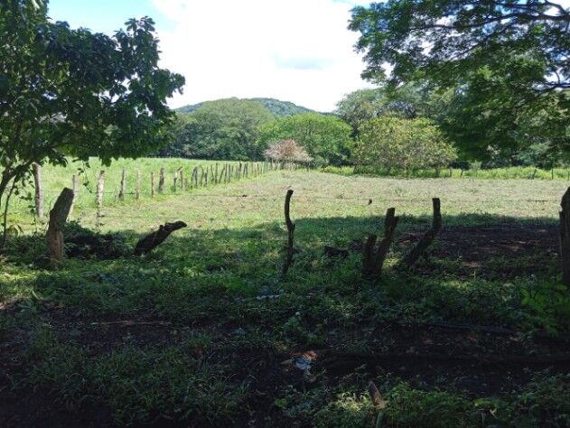 ¡Terreno de 1000 m² a minutos del centro de Nicoya  Oportunidad única de inversión in Nicoya, Guanacaste — ₡ 11 000 000