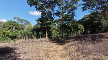 SE VENDE TERRENO PLANO Y LISTO PARA CONSTRUIR CON UBICACION ESTRATEGICA en El General, Pérez Zeledón, San José — $115,000 - Foto 5 de 10