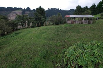 Finca en venta en Llano Bonito, Naranjo, Costa Rica – 10 manzanas en Mercedes, Atenas, Alajuela — 370 000 000 ₡ - Foto 2 de 18