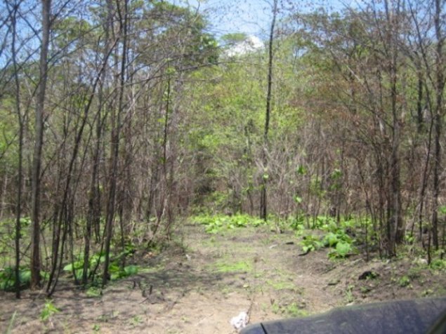 Oportunidad de inversión en playa para terreno de desarrollo y hotel en Puntarenas — $800,000