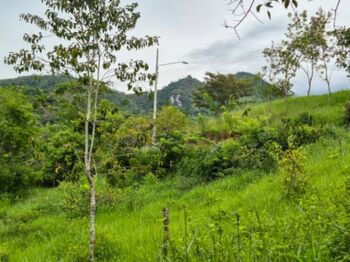 Lote con vista y accesso facil, Quebradas, Perez Zeledon. in San Isidro De El General, Pérez Zeledón, San José — $49,999 - Photo 4 of 4