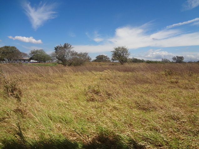 Terreno 2.75 Ha cerca Delegacion Tránsito Liberia en Liberia, Guanacaste — $1,650,000
