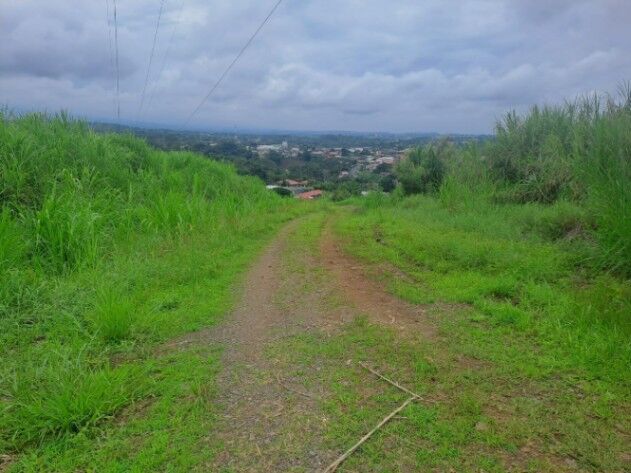 DE OPORTUNIDAD BELLA FINCA EN EL CENTRO DE SARCHI, ALAJUELA.  en Rodríguez, Sarchí, Alajuela — $35
