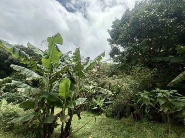 Se vende lote de 8,800m2 en Varablanca de Heredia 26-384 in Vara Blanca, Heredia — $445,000 - Photo 2 of 21