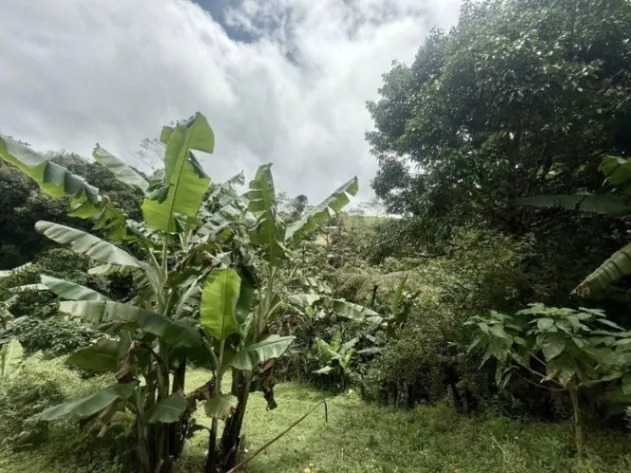 Se vende lote de 8,800m2 en Varablanca de Heredia 26-384 in Vara Blanca, Heredia — $445,000 - Photo 2 of 21