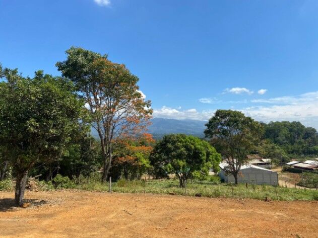 1700 metros en Daniel Flores, Pérez Zeledón, San José — ₡ 35 000 000
