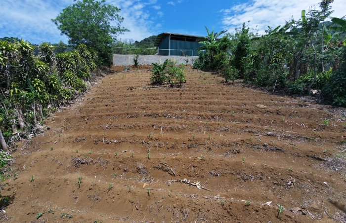 Lote en Venta en Zaragoza de Palmares in Zaragoza, Palmares, Alajuela — ₡ 28 750 000 - Photo 3 of 7
