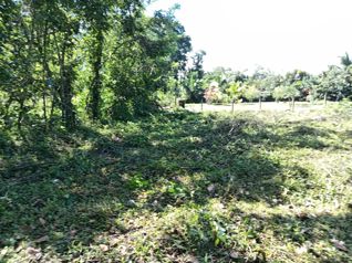 Lot For Sale In Guácimo, Limón in Guácimo, Limón — 9 328 975 ₡ - Photo 5 of 10