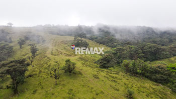Venta de Terreno para Desarrollo en San Ramón | 56 Ha en Ángeles, San Ramón, Alajuela — 564 000 000 ₡ - Foto 5 de 22