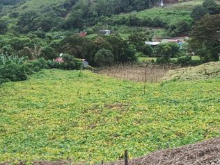 Venta de terreno..para quinta y agricultura in Santiago, Paraíso, Cartago — 95 000 000 ₡ - Photo 2 of 18