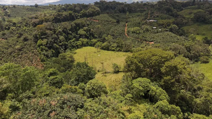 VENTA DE FINCA DE 8.1 HA CON DOS CASAS Y FRENTE DE RIO EN LAS MESAS, PEREZ ZELEDON en Cajón, Pérez Zeledón, San José — $249,999 - Foto 2 de 17