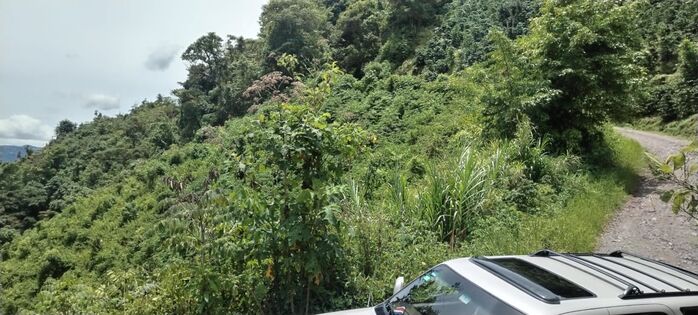 VENTA DE FINCA CAFETALERA, SAN JOSE, ASERRI, LA LEGUA en Aserrí, San José — ₡ 23 000 000
