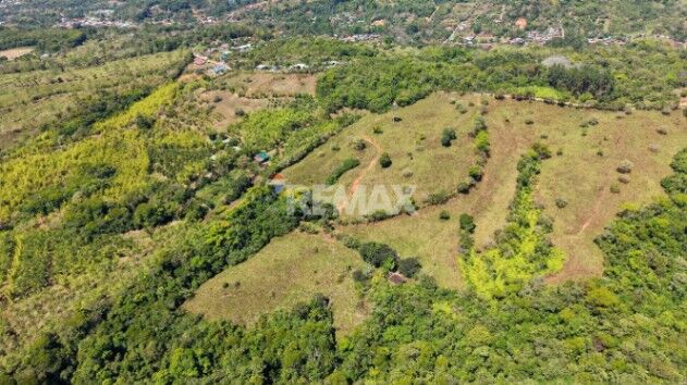 FINCA DE 28.7 HA PARA DESARROLLO Y AGRICULTURA EN MORAZÁN, PÉREZ ZELEDÓN CON NACIENTE PROPIA en Daniel Flores, Pérez Zeledón, San José — $750,000