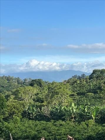 Lotes en venta Sabanilla de Alajuela Financiados 21 000 000 sin intereses / Contado Negociable  en Sabanilla, Alajuela — ₡ 21 000 000