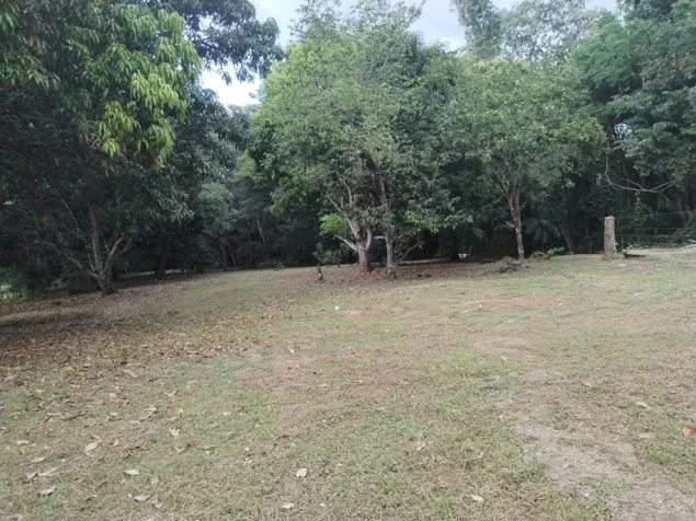 PARCELA EN VENTA EN GUACALILLO | 3.863 M² | P659 en Jacó, Garabito, Puntarenas — ₡ 95 000 000 - Foto 2 de 8