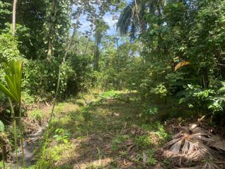Lote frente al BAC SAN JOSE , Guapiles centro in Guápiles, Pococí, Limón — $3,876,620 - Photo 5 of 8