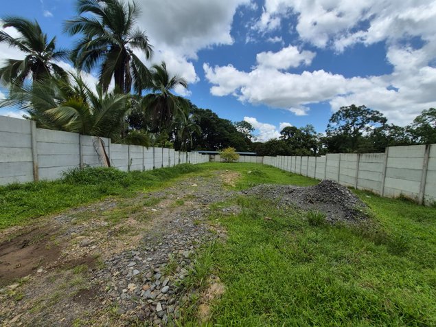 🌿 TERRENO EN VENTA EN LA COLONIA, POCOCÍ in Guápiles, Pococí, Limón — ₡ 23 000 000 - Photo 3 of 5