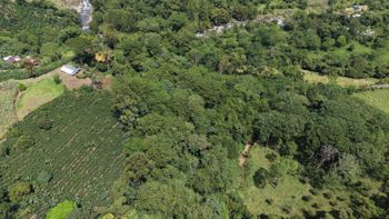 TERRENO LISTO PARA CONSTRUIR CON BOSQUE Y ARROYO CERCA DEL CHIRRIPO en Rivas, Pérez Zeledón, San José — $250,000 - Foto 4 de 8