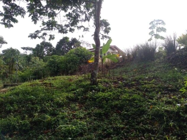 CASA DE CAMPO EN PEREZ ZELEDON en San Pedro, Pérez Zeledón, San José — ₡ 60 000 000