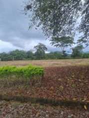 VENTA DE LOTE, PUNTARENAS, MIRAMAR, HACIENDA MONTES DE ORO en Miramar, Montes De Oro, Puntarenas — $74,382 - Foto 4 de 7