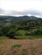 Farm For Sale San Isidro, El Guarco, Cartago