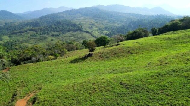  LAND FOR SALE IN SAN IGNACIO, WITH VIEWS AND CREEK  in Cajón, Pérez Zeledón, San José — $425,000