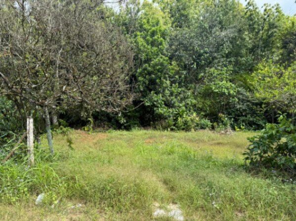 ¡VENTA DE LOTE EN PÉREZ ZELEDÓN! in San Isidro De El General, Pérez Zeledón, San José — ₡ 18 000 000