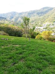 Se Vende Finca 31801 m2, Santa Ana in Uruca, Santa Ana, San José — $1,115,000 - Photo 5 of 8