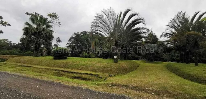 Venta de Lote en Guácimo-Limón. RAH 27-81 en Guácimo, Limón — ₡ 50 000 000