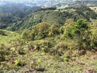 SE VENDE ESPECTACULAR FINCA EN EL GUARCO DE CARTAGO.  en San Isidro, El Guarco, Cartago — ₡ 140 000 000