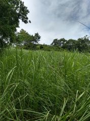 LOTE  PLAYA VISTA GOLFO NICOYA in Colorado, Abangares, Guanacaste — $145,000 - Photo 5 of 6
