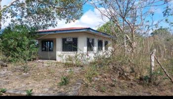 VENTA TERRENO EN LA CRUZ GUANACASTE SOBRE RUTA INTERMERICANA en La Cruz, Guanacaste — $250,000 - Foto 4 de 11