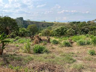 Terreno Exclusivoen San Juan de Grecia en San Juan, Naranjo, Alajuela — 50 000 000 ₡ - Foto 2 de 4