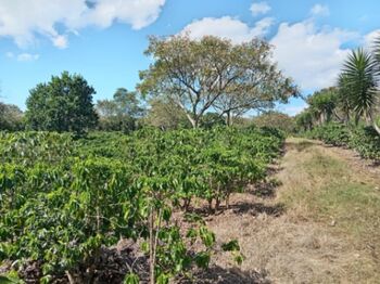 Land For Sale San Pedro, Santa Bárbara, Heredia