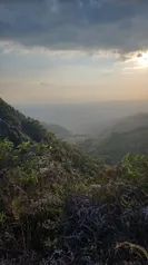 SE VENDE BELLA FINCA EN SANTIAGO, SAN RAMÓN. 