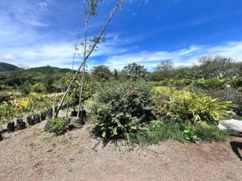 Lote Esquinero en La Guácima, Alajuela. Alta densidad, 6,385Mt2. en Guácima, Alajuela — $1,086,000 - Foto 5 de 11
