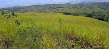 Finca en Venta Potrero Grande, Buenos Aires, Puntarenas